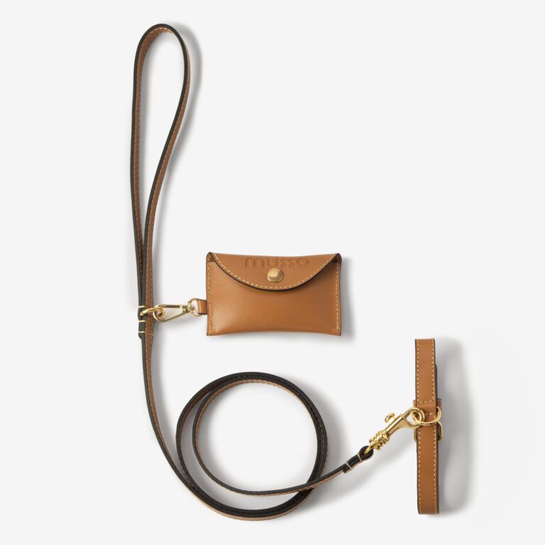 Zestaw z obrożą Vero Caramello