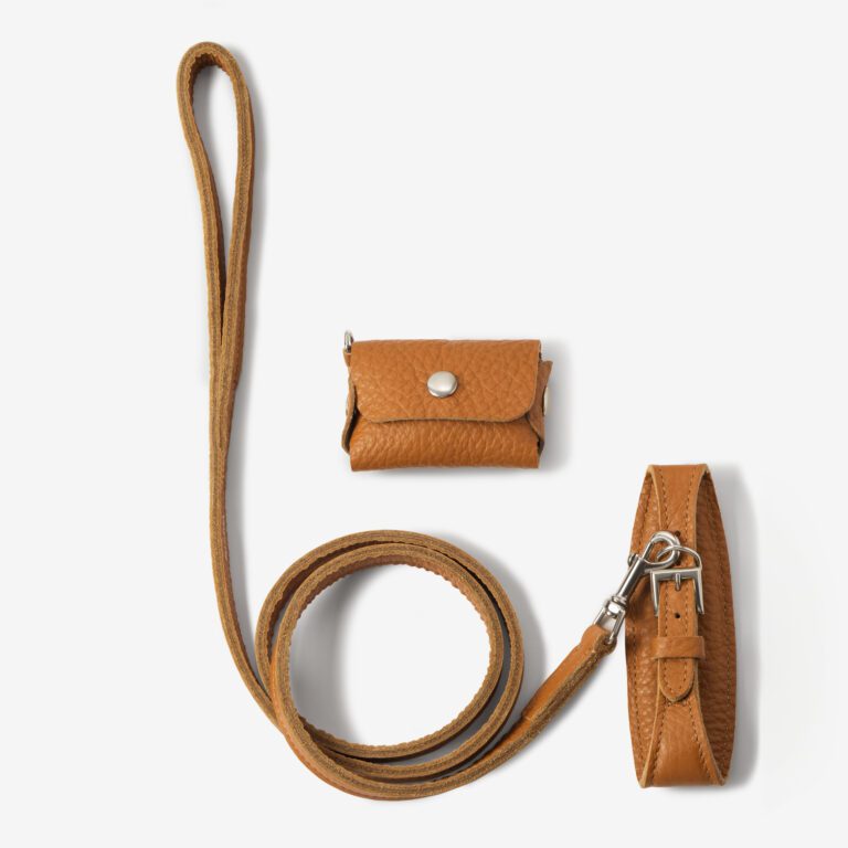 Zestaw z obrożą Aura Caramello