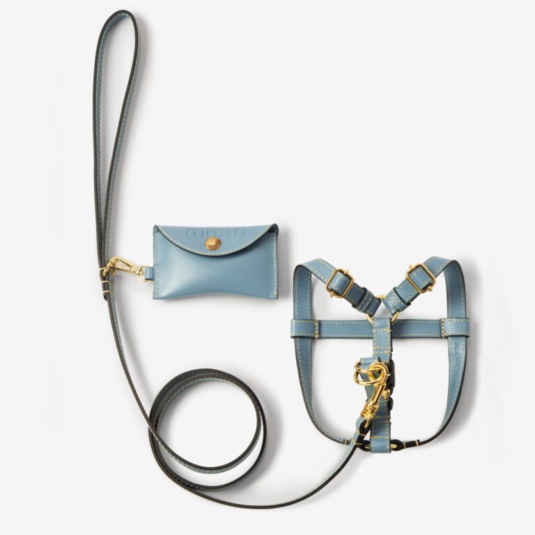 Zestaw z szelkami Vero Azzurro