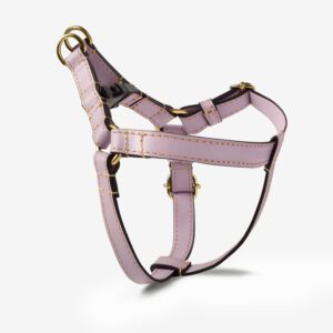 Szelki skórzane Vero Lavanda Szelki skórzane Vero Lavanda