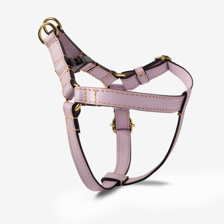 Szelki skórzane Vero Lavanda