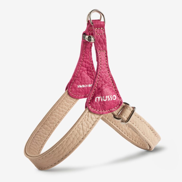 Szelki skórzane Duo Rosa