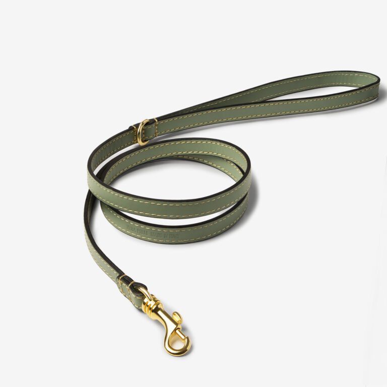 Smycz skórzana Vero Salvia