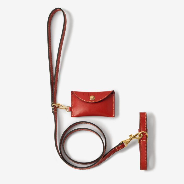 Zestaw z obrożą Vero Rosso