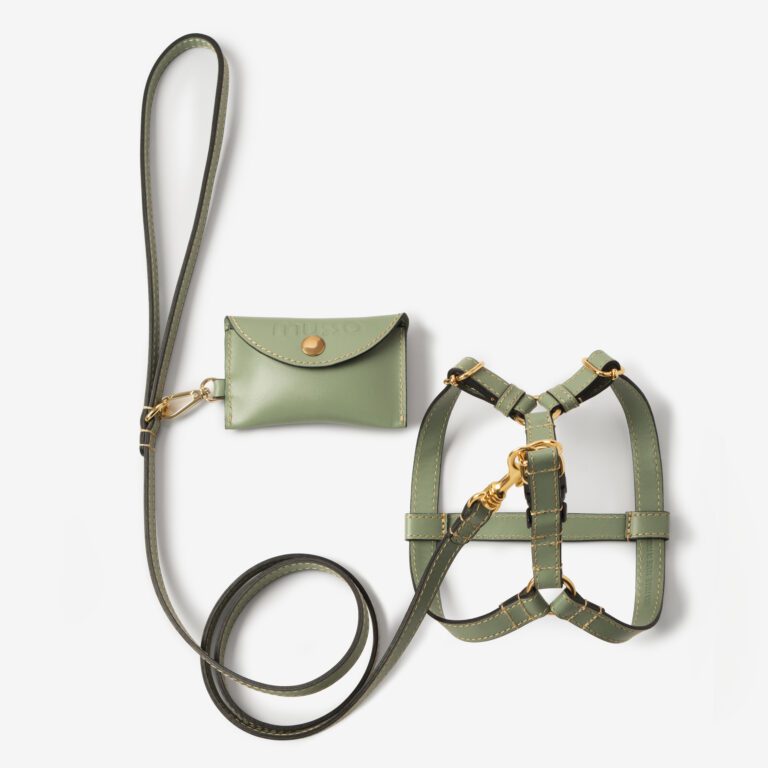 Zestaw z szelkami Vero Salvia