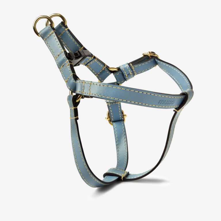 Szelki skórzane Vero Azzurro