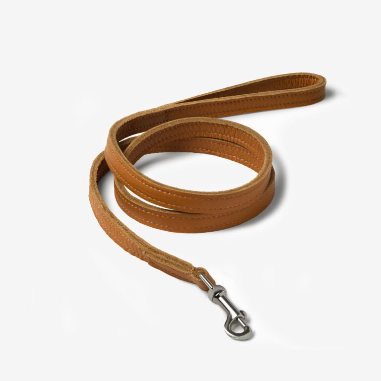 Smycz skórzana Aura Caramello