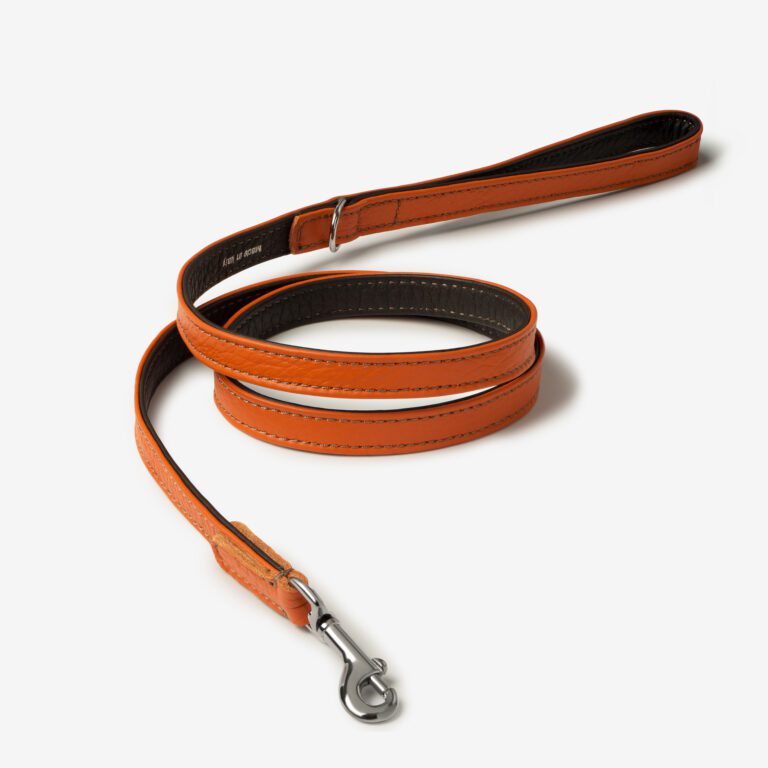 Smycz skórzana Duo Bosco