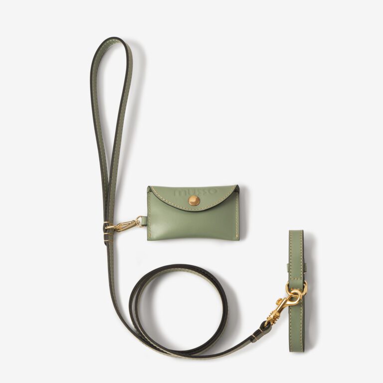 Zestaw z obrożą Vero Salvia