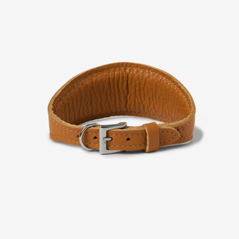 Obroża skórzana dla chartów Aura Caramello