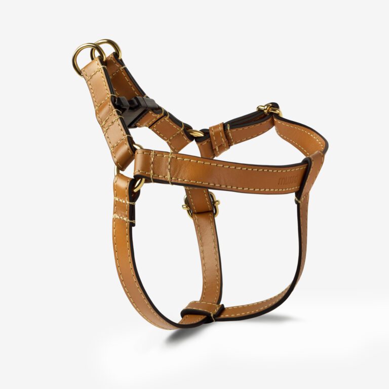 Szelki skórzane dla psa Vero Caramello