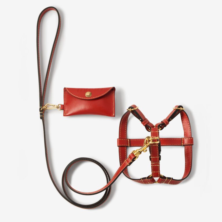 Zestaw z szelkami Vero Rosso