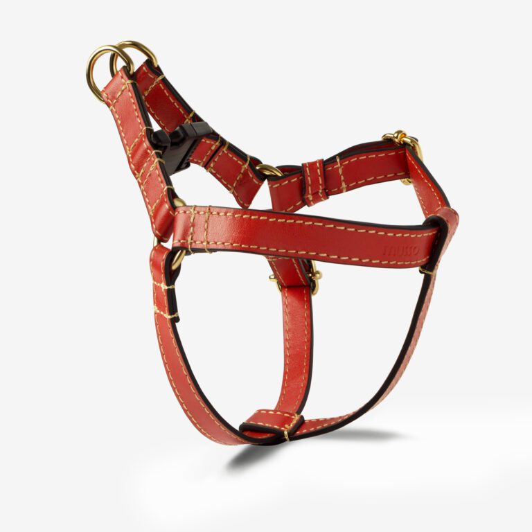 Szelki skórzane Vero Rosso