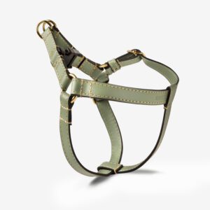 Szelki skórzane Vero Salvia Szelki skórzane Vero Salvia