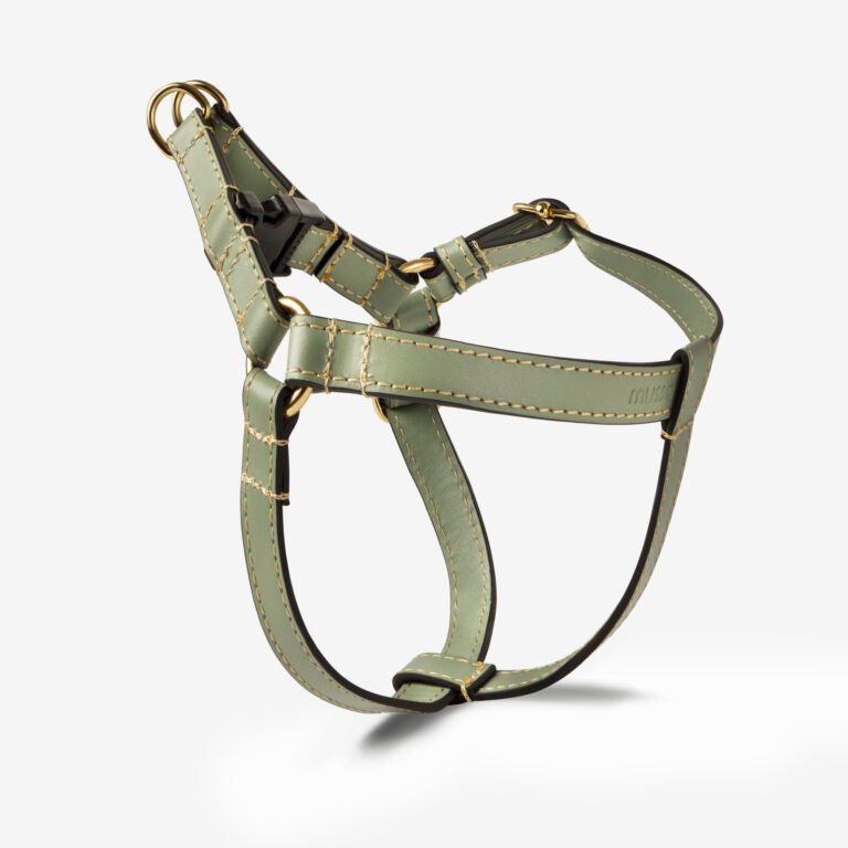 Szelki skórzane Vero Salvia