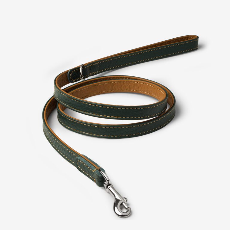 Smycz skórzana Duo Terra