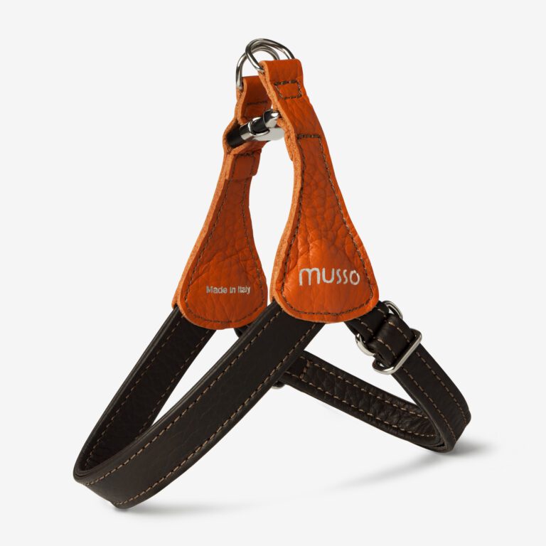 Zestaw z szelkami Duo Bosco