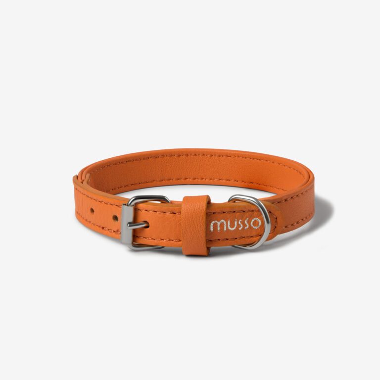 Obroża skórzana Vivo Arancia