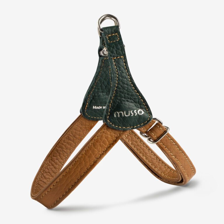 Szelki skórzane Duo Terra