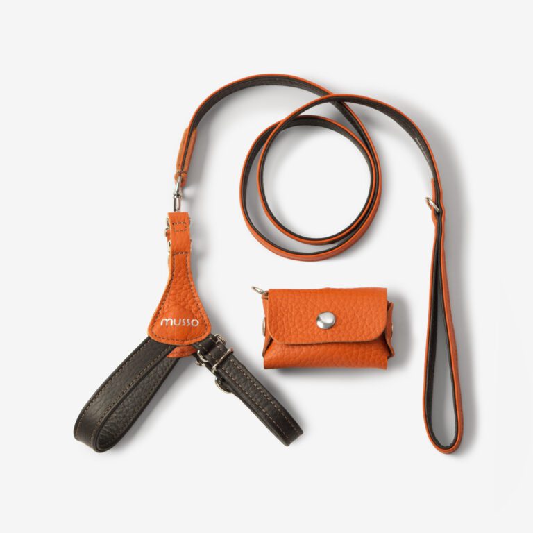 Zestaw z szelkami Duo Bosco