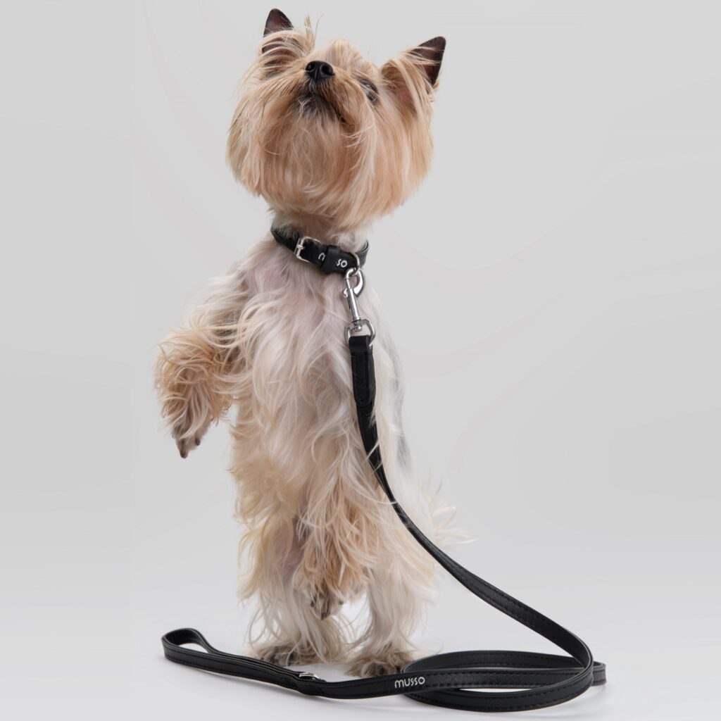 Безымянный2