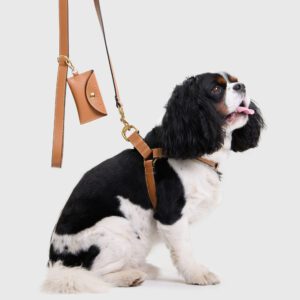 Szelki skórzane Vero Caramello DSC_2994