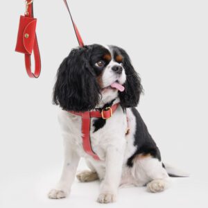 Smycz skórzana Vero Rosso DSC_3063a