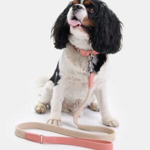 Smycz z wegańskiej skóry Nodo Cipria