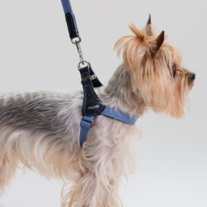 Szelki skórzane Duo Marina DSC_3241