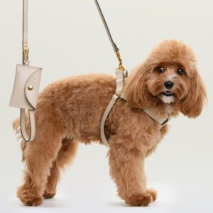 Szelki skórzane Vero Crema DSC_3475