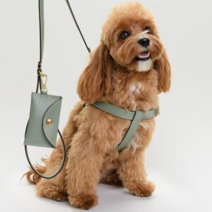 Szelki skórzane Vero Salvia DSC_3498