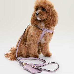 Szelki skórzane Vero Lavanda DSC_3522