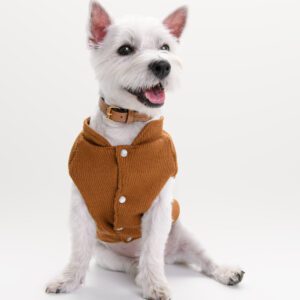 Płaszczyk przeciwdeszczowy dla psa Rivo Taupe