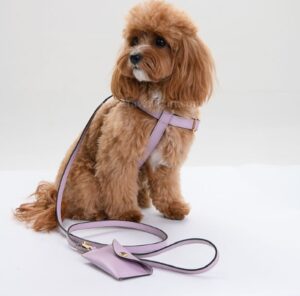 Pupakiotti collars_polish10111111111