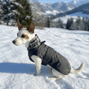 Gemini_Generated_Image_hlymkhlymkhlymkh