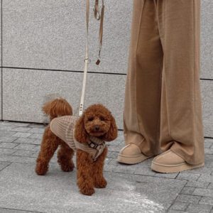 Edited in Tezza with: Vintage