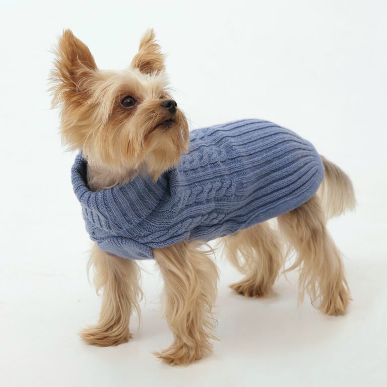 Sweterek dla psa Soffo Azzurro z wełną i domieszką kaszmiru
