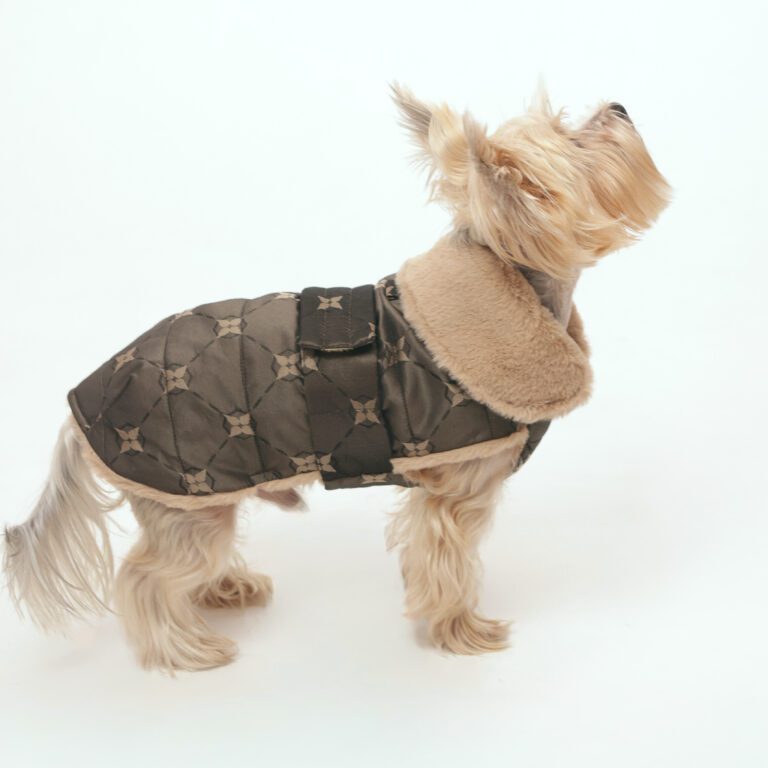 Kurtka zimowa dla psa Stella Taupe