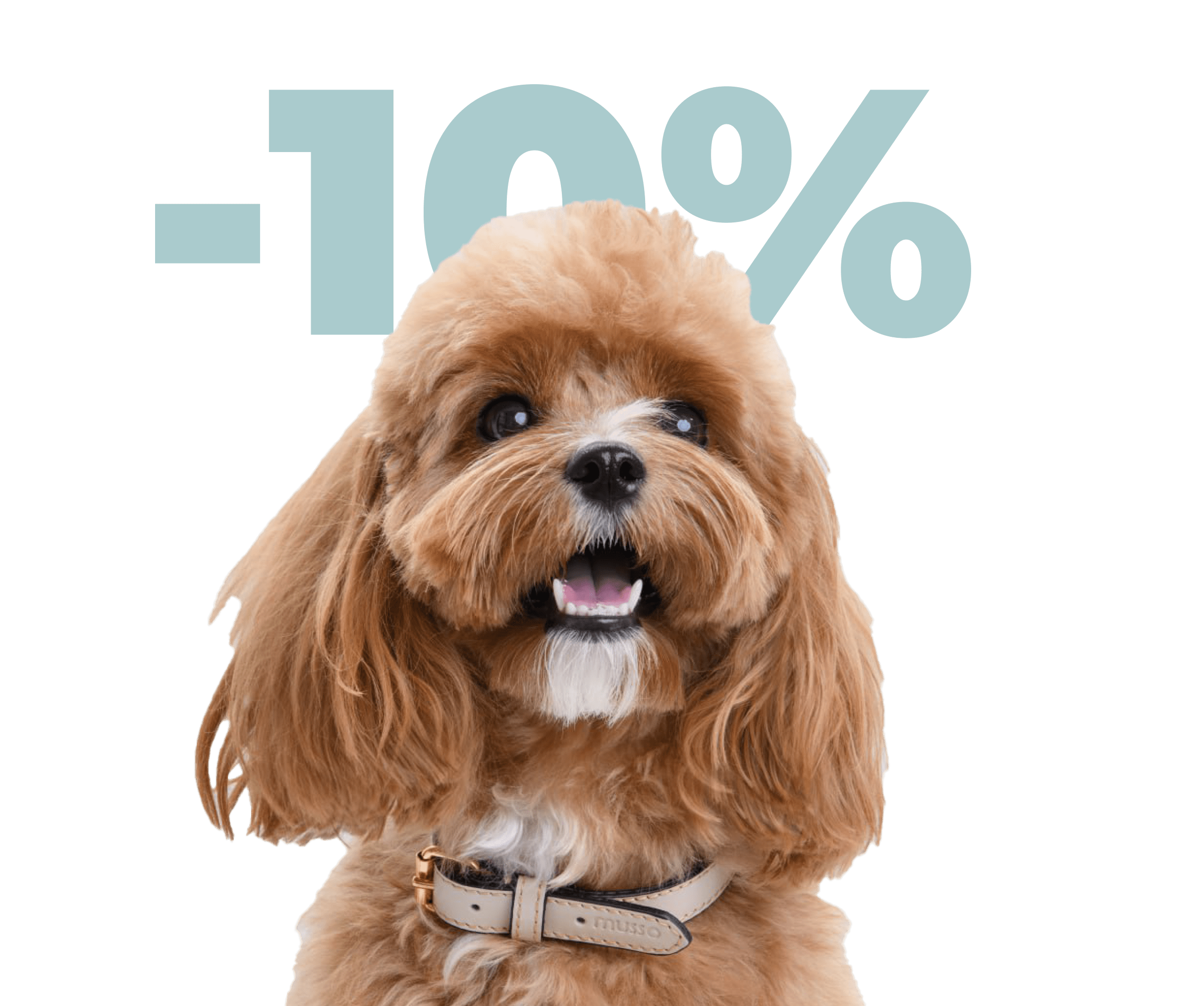 Uzyskaj 10% zniżki na pierwsze zamówienie za subskrypcję