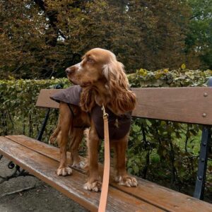 photo_2025-10-03_12-51-26