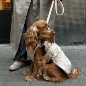 photo_2025-12-12_18-08-48