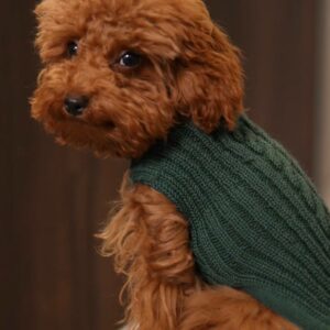 photo_2026-01-14_13-42-31