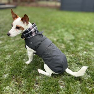 photo_2026-03-30_19-30-46