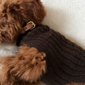 photo_2025-12-10_13-37-301