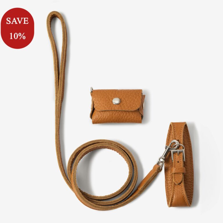 Zestaw z obrożą dla chartów Aura Caramello