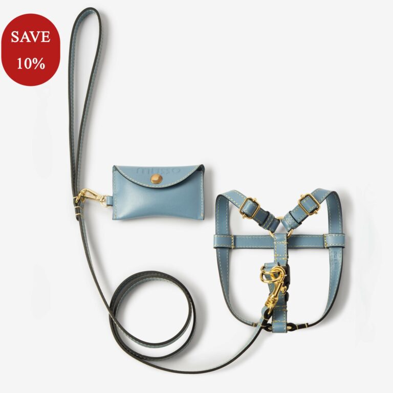 Set with Vero Azzurro harness