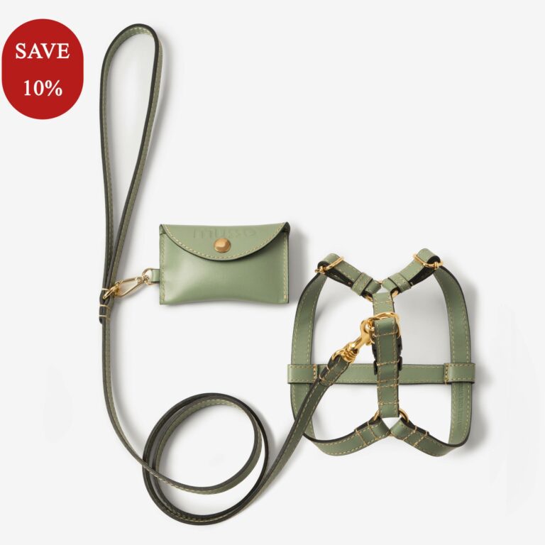 Zestaw z szelkami Vero Salvia