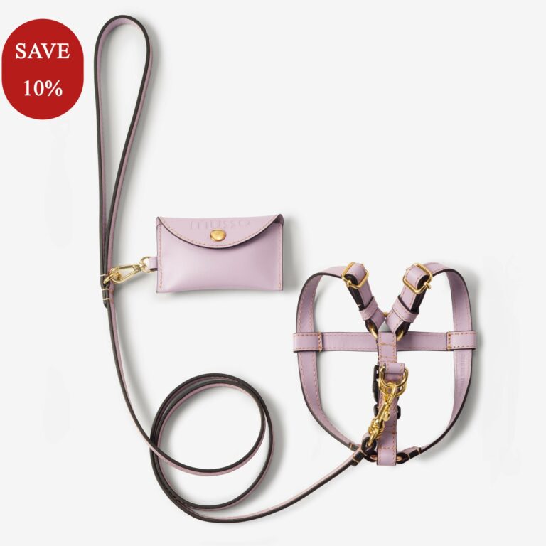 Zestaw z obrożą Vero Lavanda