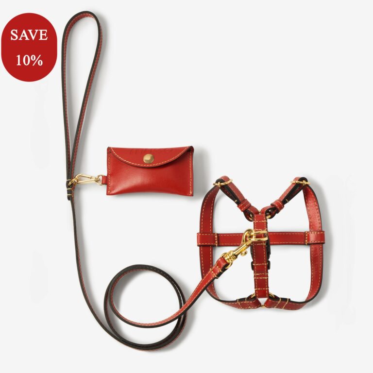 Zestaw z szelkami Vero Rosso